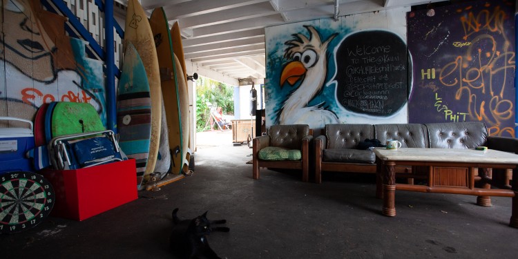 The undercroft at Elephit House with our friendly Mother Cat. Bonus insta handles on the blackboard for the OG Hawaiians that live upstairs.