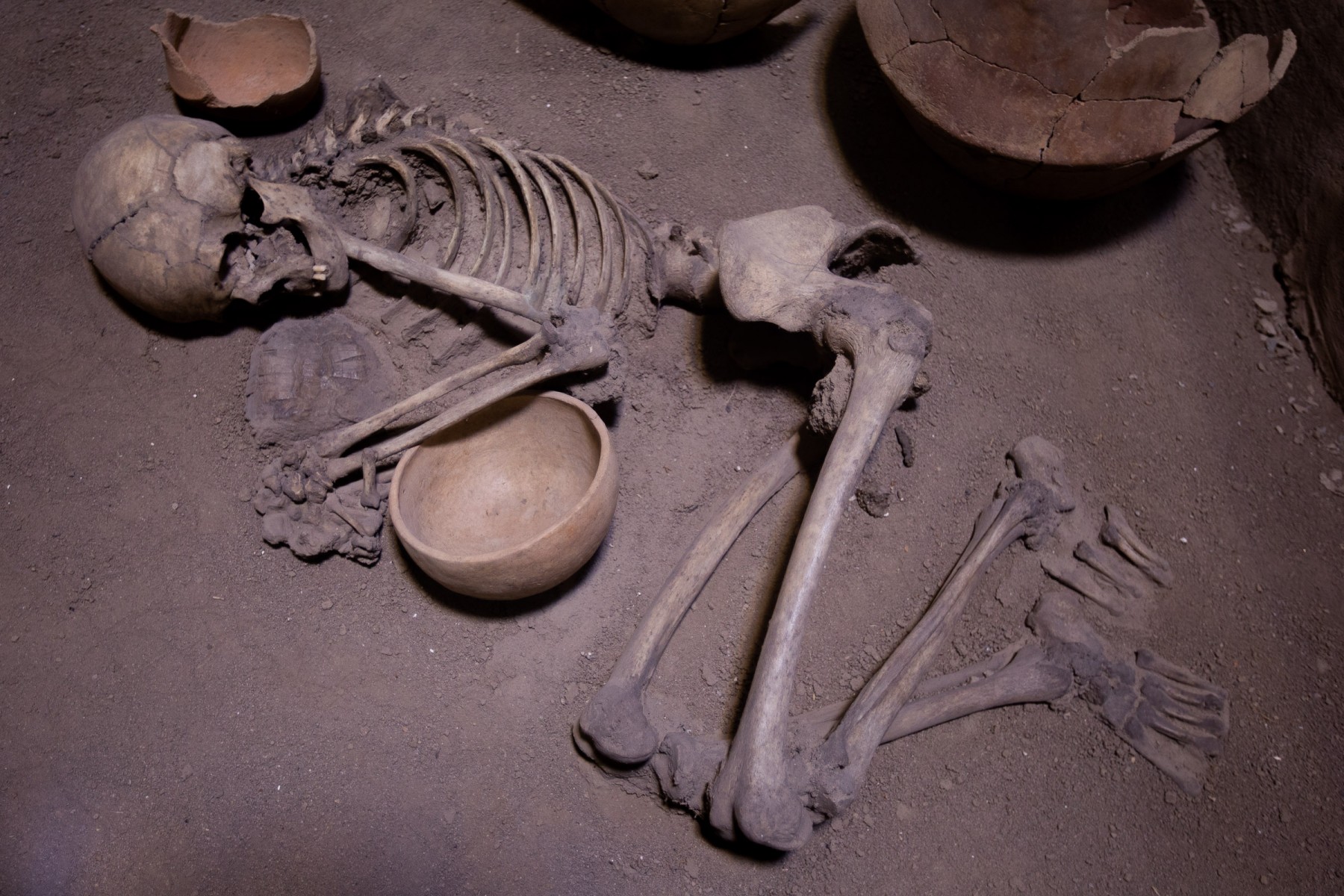 Tepe Hegmataneh skeleton