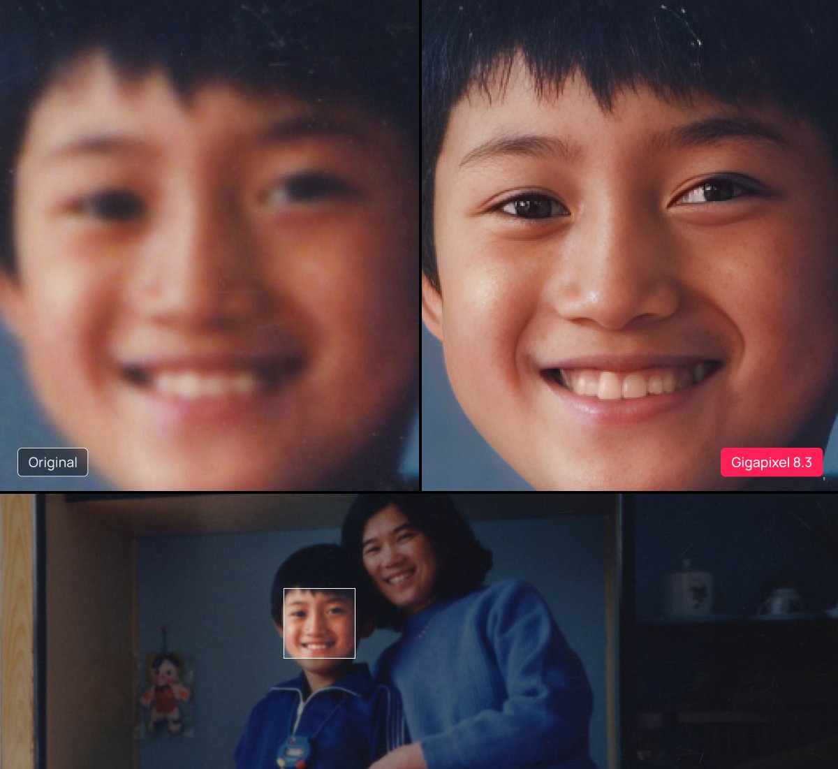 Topaz Labs Demo Image